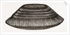 Furniture Brush by Anonymous
