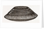 Furniture Brush by Anonymous
