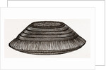Furniture Brush by Anonymous