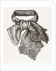 Necktie by Anonymous