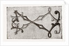 Needlework by Anonymous