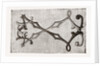 Needlework by Anonymous