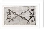 Needlework by Anonymous