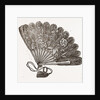 Fan For Evening Dress by Anonymous