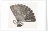 Fan For Evening Dress by Anonymous