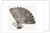Fan For Evening Dress by Anonymous