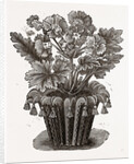 Cover For Flower Pot by Anonymous