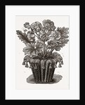 Cover For Flower Pot by Anonymous