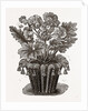 Cover For Flower Pot by Anonymous