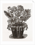 Cover For Flower Pot by Anonymous