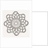 Rosette by Anonymous