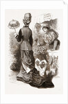 Walking Toilette by Anonymous