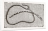 Needlework by Anonymous