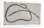 Needlework by Anonymous