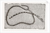 Needlework by Anonymous