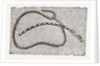 Needlework by Anonymous