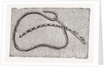 Needlework by Anonymous