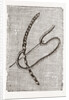 Needlework by Anonymous