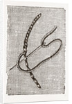 Needlework by Anonymous
