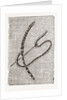 Needlework by Anonymous