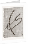 Needlework by Anonymous