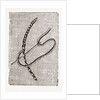 Needlework by Anonymous