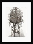 Jardiniere by Anonymous