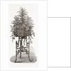 Jardiniere by Anonymous