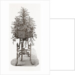 Jardiniere by Anonymous