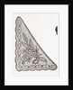 Design For Collarette by Anonymous