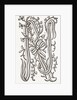 Monogram by Anonymous