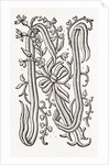 Monogram by Anonymous