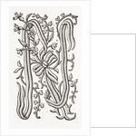 Monogram by Anonymous