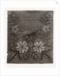 Needlework by Anonymous