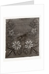 Needlework by Anonymous