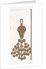 New Models In Passementerie by Anonymous