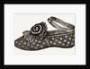 Baby's Shoe by Anonymous