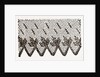 Design For Darning On Net by Anonymous