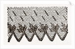 Design For Darning On Net by Anonymous