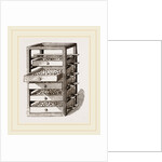 Egg-Frame by Anonymous