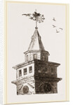 Rookery on Newcastle Exchange Spire UK by Anonymous