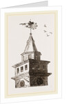 Rookery on Newcastle Exchange Spire UK by Anonymous