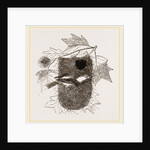 Baltimore Oriole and Nest by Anonymous