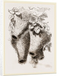 Nests of Mahali Weaver Birds by Anonymous