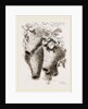Nests of Mahali Weaver Birds by Anonymous