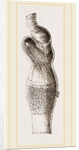 Stomach of Emeu by Anonymous