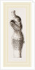 Stomach of Emeu by Anonymous