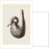 Stomach of Ostrich by Anonymous