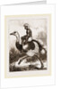 Ostrich carrying a man by Anonymous