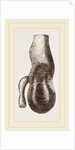 Stomach of Nanclu by Anonymous